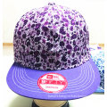 More Color Printing Cloth Quickly Recover and 3 D Embroidery Baseball Cap